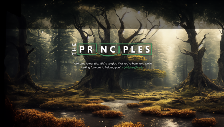 The Principles - Home | The Principles